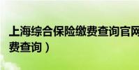 上海綜合保險繳費查詢官網(上海綜合保險繳費查詢)