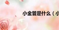 小金管是什么(小金管)