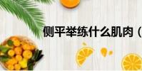 側平舉練什么肌肉(側平舉)