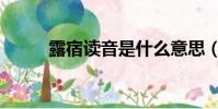 露宿讀音是什么意思(露宿意思)