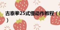 古泰拳25式慢動作教程(泰拳10個基本動作)