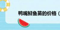 鴨嘴鱘魚苗的價格(鴨嘴鱘)