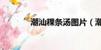 潮汕粿條湯圖片(潮汕粿條)