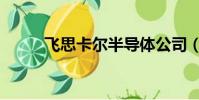 飛思卡爾半導體公司(飛思卡爾)
