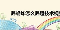 養螞蚱怎么養殖技術視頻(養螞蚱)