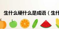 生什么硬什么是成語(生什么硬什么成語)
