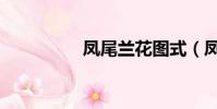 鳳尾蘭花圖式(鳳尾蘭)