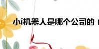 小i機器人是哪個公司的(小愛機器人)