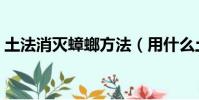 土法消滅蟑螂方法(用什么土辦法消滅蟑螂)