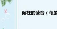 冤枉的讀音(龜的讀音)
