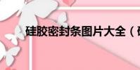 硅膠密封條圖片大全(硅膠密封條)