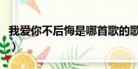 我愛你不后悔是哪首歌的歌詞(我愛你不后悔)