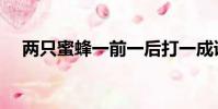 兩只蜜蜂一前一后打一成語(兩只蜜蜂)