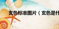 玄色標準圖片(玄色是什么顏色求圖)