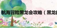 航海冒險黑龍會攻略(黑龍的海賊王大冒險)