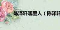 陳澤軒哪里人(陳澤軒高中哪的)