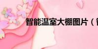 智能溫室大棚圖片(智能溫室)
