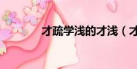 才疏學淺的才淺(才疏學淺)