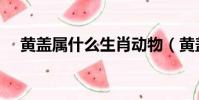 黃蓋屬什么生肖動物(黃蓋屬什么生肖)