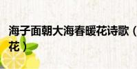 海子面朝大海春暖花詩歌(海子面朝大海春暖花)