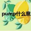 pump什么意思中文意思（pump什么意思）