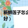 新鮮蓮子怎么吃好營養高（新鮮蓮子怎么吃最好）
