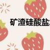 礦渣硅酸鹽水泥代號（礦渣硅酸鹽水泥）
