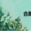 合肥大圩鎮（合肥大圩）