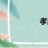 孝順竹圖片（孝順竹）