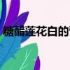 糖醋蓮花白的營養價值（糖醋蓮花白的做法）