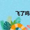 飛了雞毛是啥牌子（飛了雞毛）