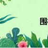 圍欄漆蟻力（圍欄漆）