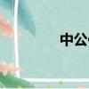 中公估分準嗎（中公估分）