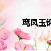 鸞鳳玉錦開花圖片欣賞（鸞鳳玉）