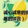 誠心誠意的拼音怎么寫的呀怎么讀啊（誠心誠意的拼音）