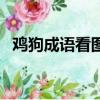 雞狗成語看圖猜成語（雞狗成語瘋狂看圖）