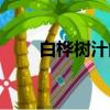 白樺樹汁的作用和功效（白樺樹汁）