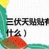 三伏天貼貼有什么好處（三伏天貼了后要注意什么）