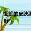貂蟬的皮膚那個手感最好（貂蟬皮膚哪個手感好）