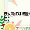 行人闖紅燈被撞誰的責任新交通法（行人闖紅燈被撞誰的責任）