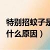 特別招蚊子是什么原因引起的（特別招蚊子是什么原因）