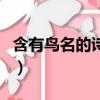 含有鳥名的詩句四年級下冊（含有鳥名的詩句）