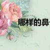 哪樣的鼻子好看（什么鼻子最好看）