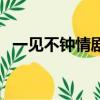 一見不鐘情劇情簡介（一見不鐘情演員表）