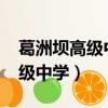 葛洲壩高級中學2023分數線多少（葛洲壩高級中學）