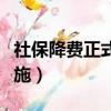社保降費正式實施是哪一年（社保降費正式實施）