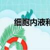細胞內液和細胞外液占比（細胞內液）