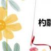 杓鷸怎么讀（杓怎么讀）