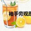 袖手旁觀原唱完整版（袖手旁觀原唱）