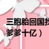 三胞胎回國找總裁爹地轉走億萬（三胞胎偷走爹爹十億）